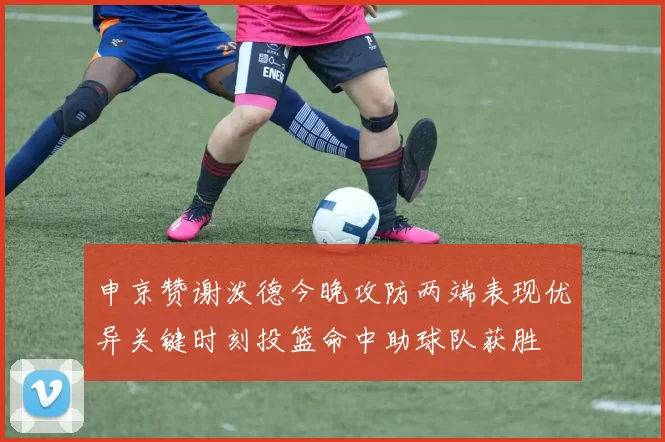 申京赞谢泼德今晚攻防两端表现优异关键时刻投篮命中助球队获胜