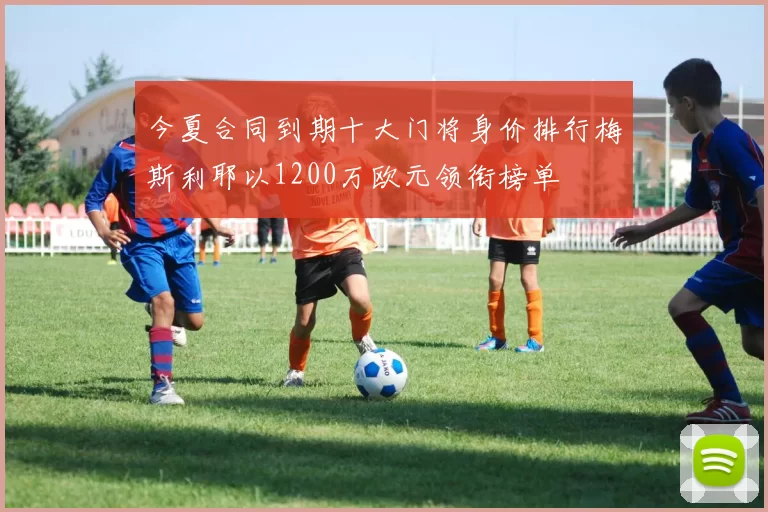 今夏合同到期十大门将身价排行梅斯利耶以1200万欧元领衔榜单