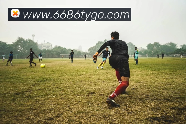 App Interface Preview