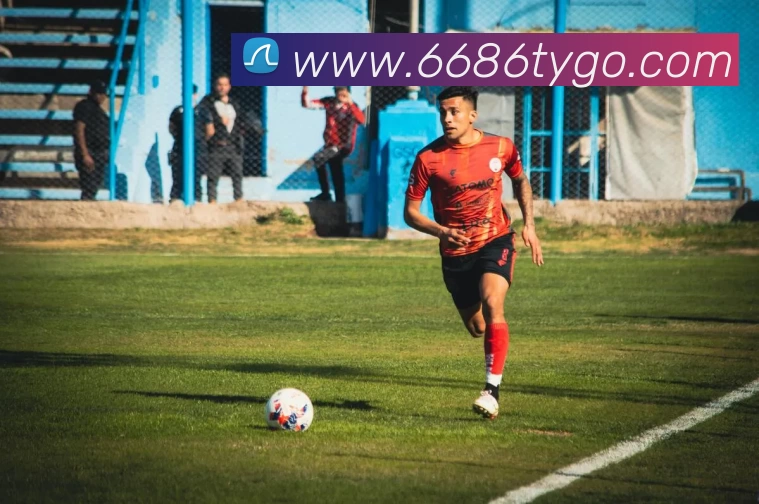 6686体育APP 封面图